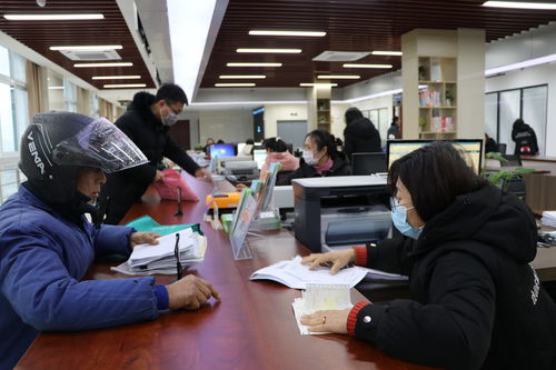 南莫鎮為民服務中心正式啟用 科技賦能打造高效便民新體驗